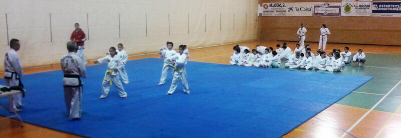 taekwondoexamen