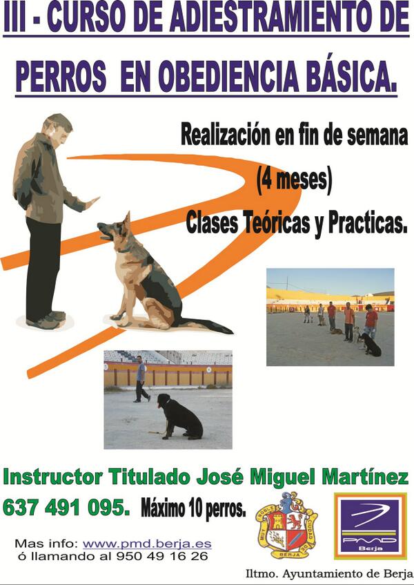 curso de adiestramiento de perros