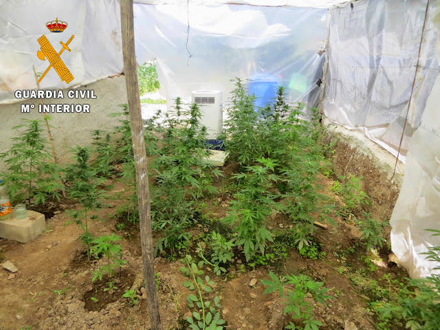 plantacion marihuana robos guardia civil berja