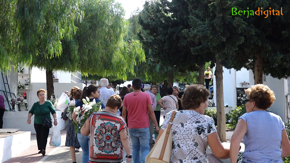 cementerio dia de lo santos berja previo