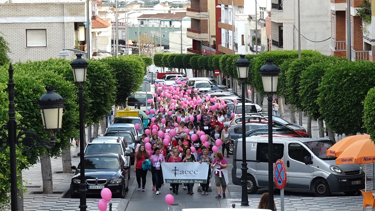 dia contra cancer de mama berja vista marcha