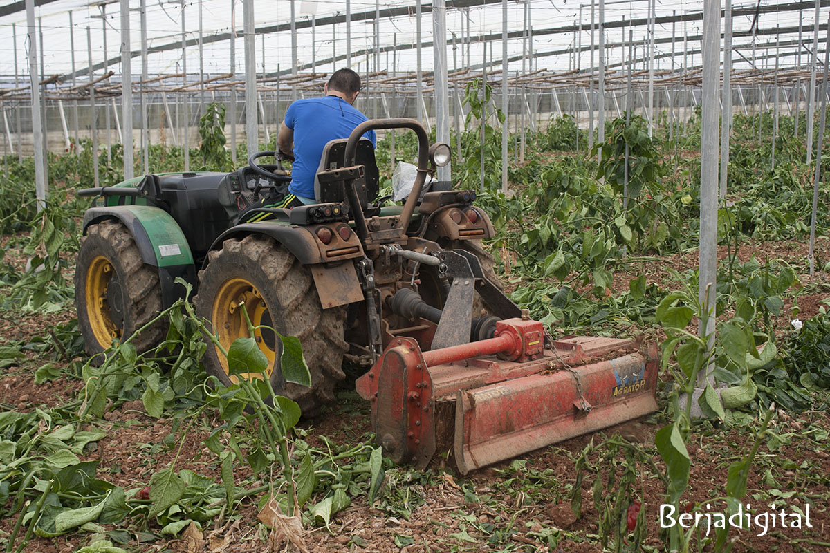 trabajador tractor