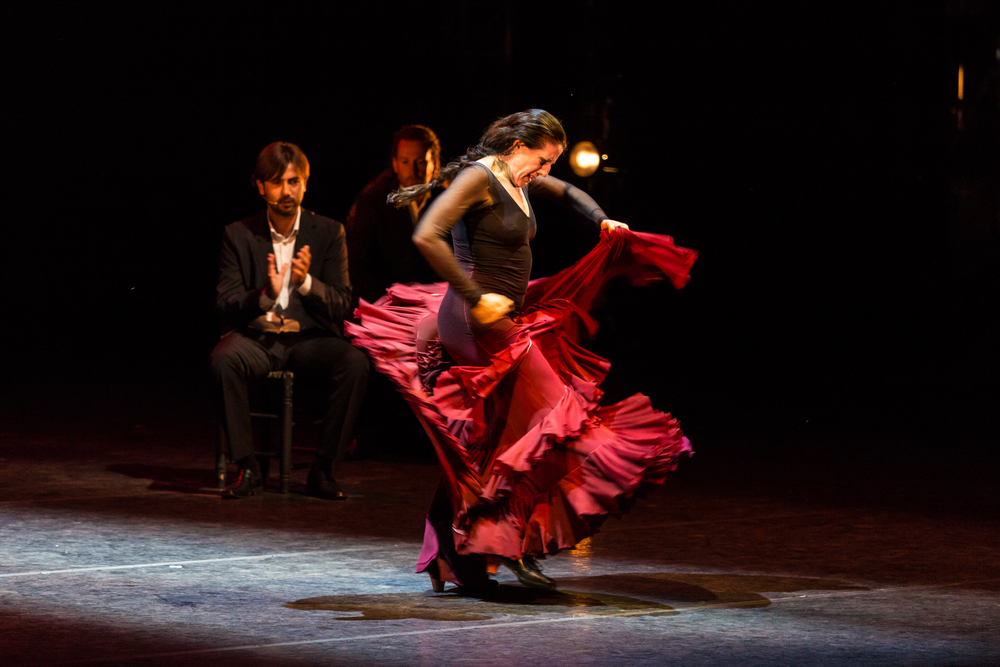 Berja conmemora el Día Internacional del Flamenco con una clase magistral gratuita