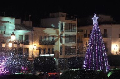 Berja en navidad