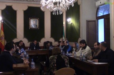 pleno ayuntamiento de berja urgente febrero 2019