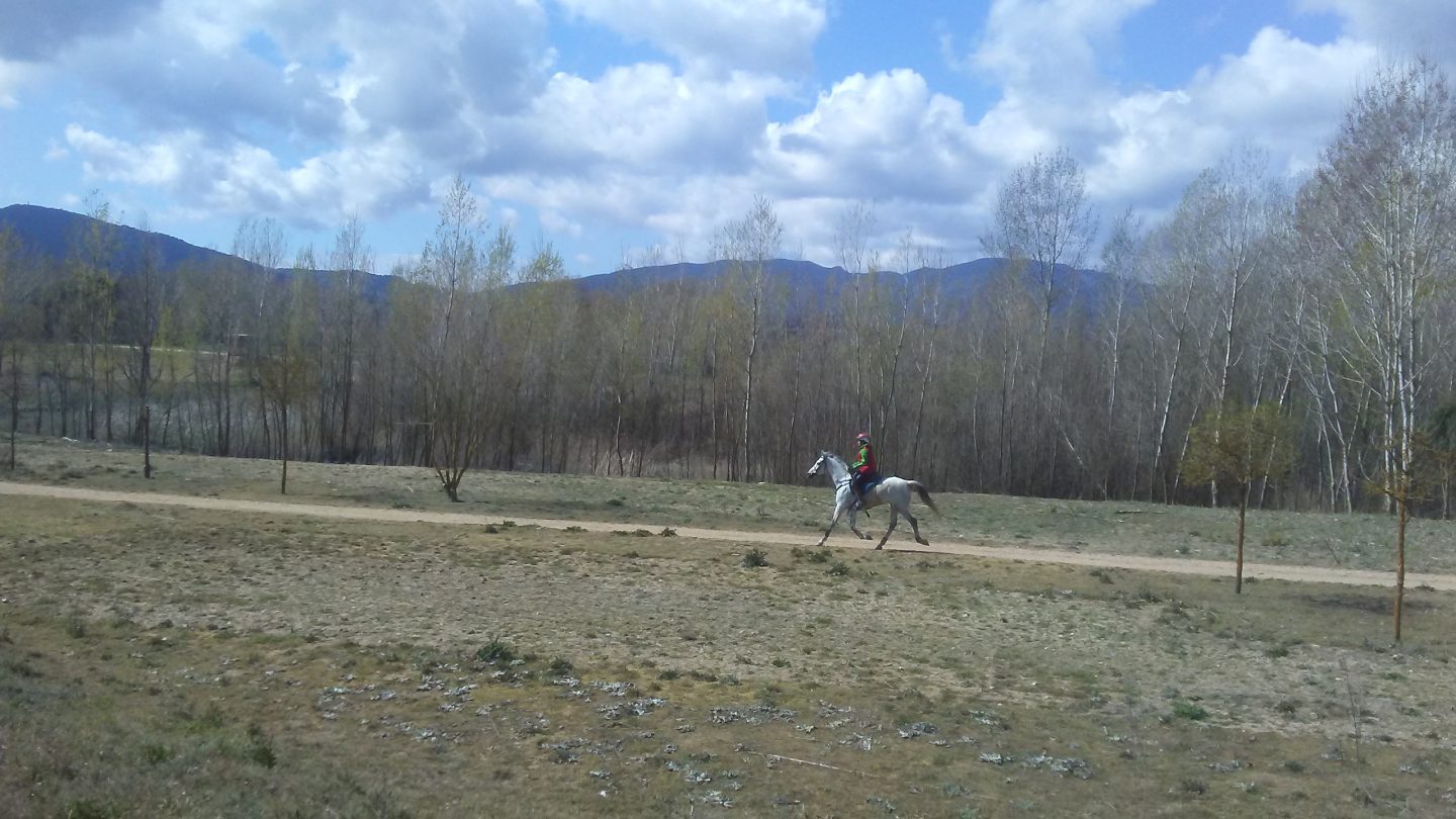 Mafalda Agustín se clasifica en el Raid de Tordera para el Campeonato de España de Jinetes