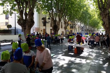 jornadas saludables berja 2018