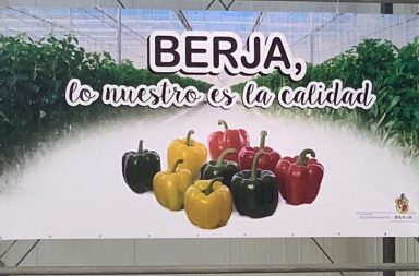 berja en infoagro exhibition 2019