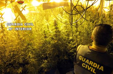 cultivo marihuana cortijo Berja