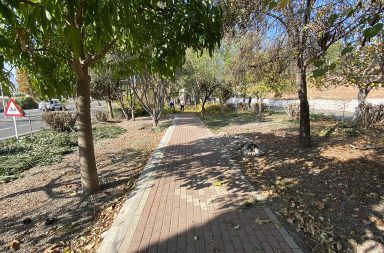 parque alcaudique berja reforma