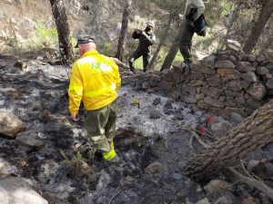 brigada investigacion incendios forestales en Berja
