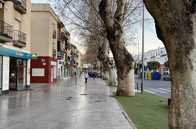 horario comercial berja avenida