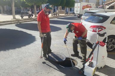 desinfección plagas en Berja