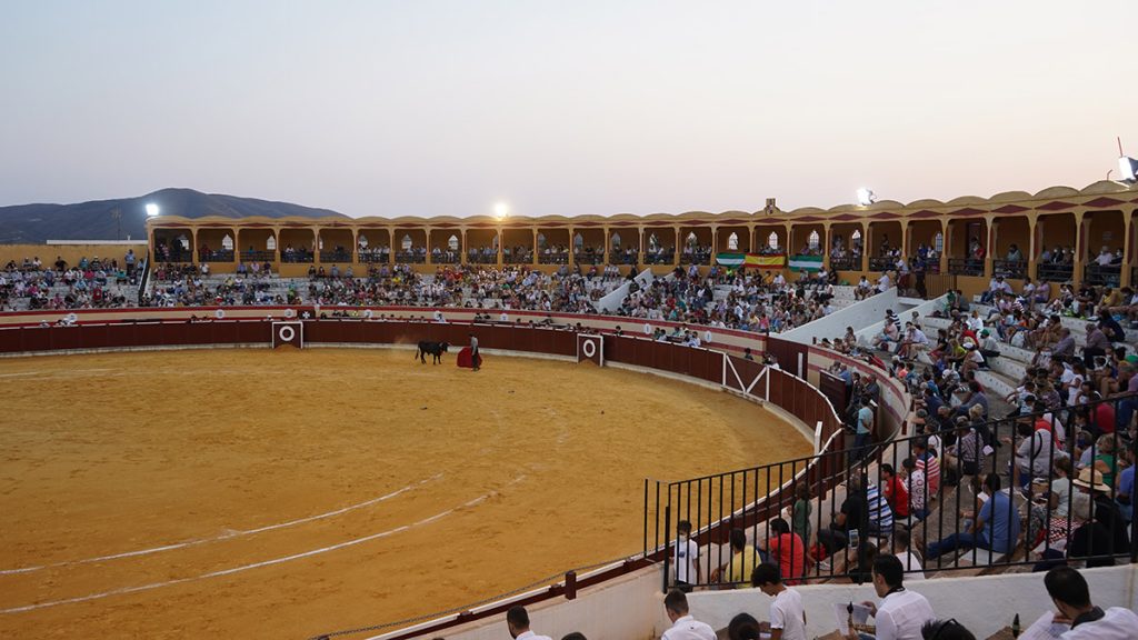 vista plaza de toros Berja becerrada