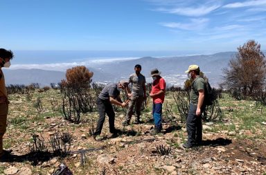 tecnicos UAL visitan zona incendio Sierra de Gador regenera Berja