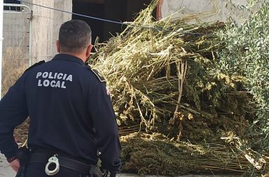 policia local de Berja marihuana Beneji