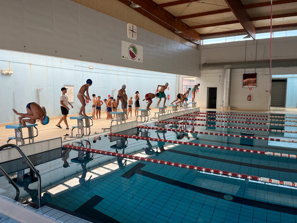 previo cursos de natacion Berja 2022