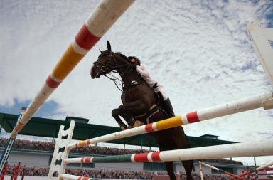 salto de caballo