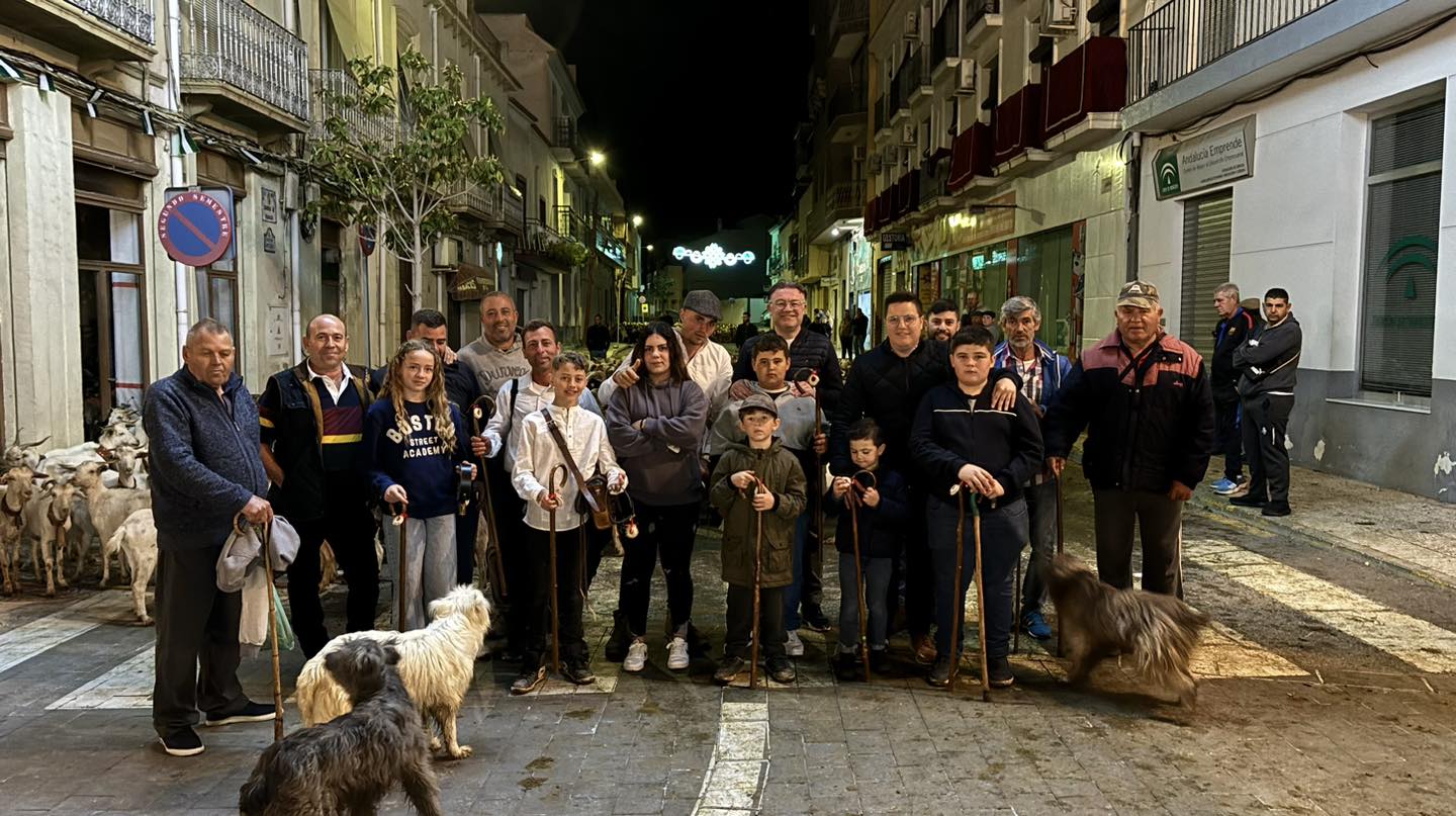 El ganado recorre de madrugada la Estación de San Marcos en Berja