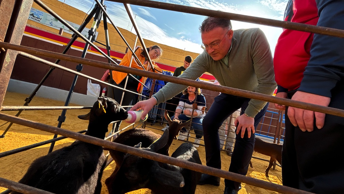 Todo preparado en la Plaza de Toros de Berja para el comienzo de 'La Chotada' este fin de semana