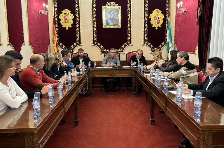 Pleno extraordinario de noviembre de 2024 del Ayuntamiento de Berja