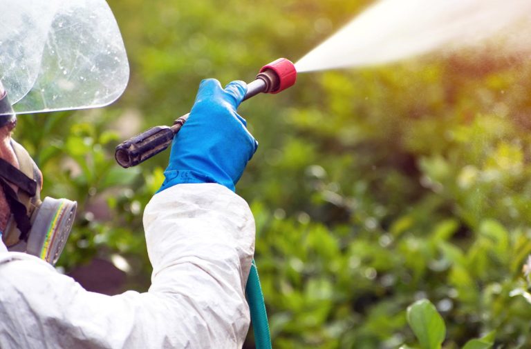 Varios puestos vacantes en empresa agrícola con sede en Berja