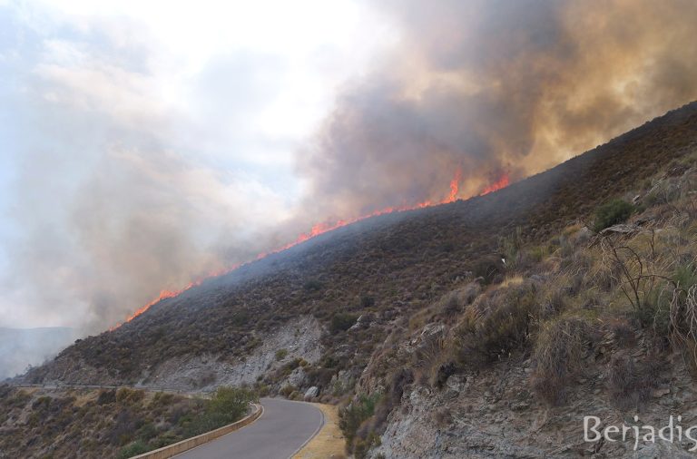 Un incendio declarado en el Cerro de Huercos obliga a cortar la carretera de las Fuentes de Marbella