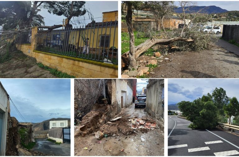 Una veintena de incidencias en Berja por el temporal de lluvia y viento